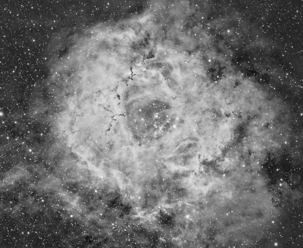 Rosette Nebula Ha
