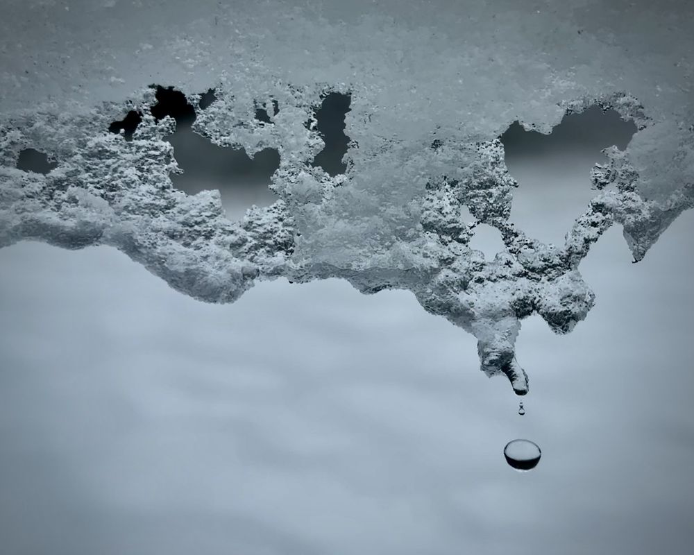We woke up to over 6 inches of snow last week in Pembrokeshire, Wales on 20 November 2025 caused by what's known as the "Pembrokeshire Dangler". Amidst the widespread winter wonderland in our garden, ice hanging from our washing line caught my eye, and I was transfixed as droplets of water appeared and fell. This close-up image shows the structure of the ice against a background of snow as a droplet falls from one of the tips.