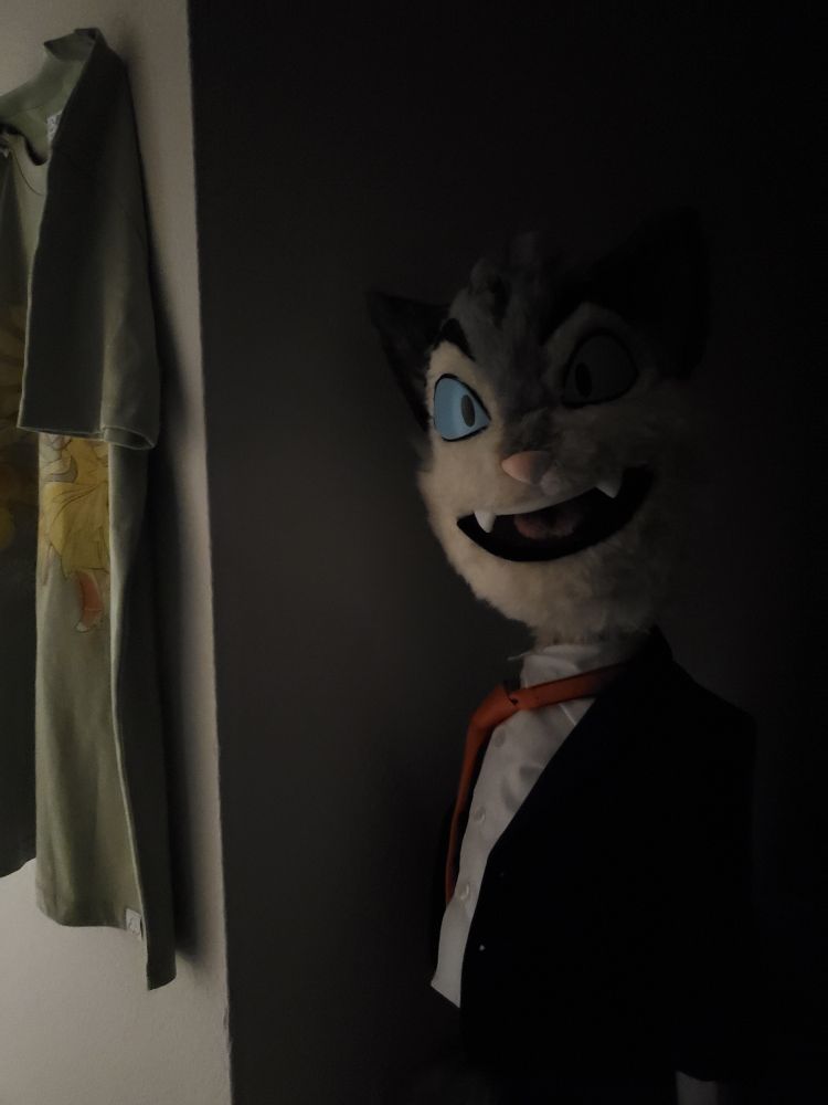 a puppet version of Rocky from Lackadaisy emerging from the darkness, with a dead eyed  stare and a big grin