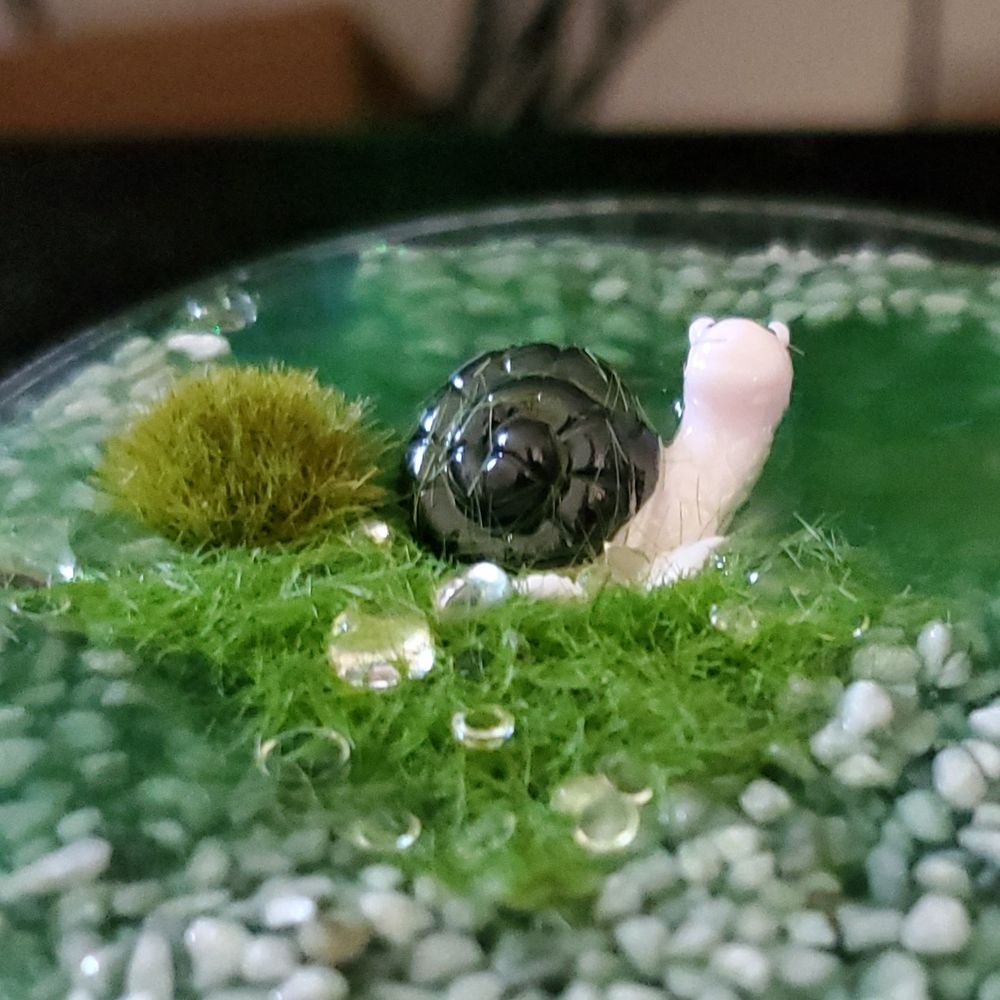 toy snail embedded in green slime and pumice pebbles. looks and smells like a green swamp