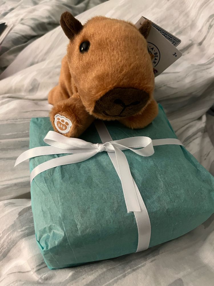 Mini capybara plush on top of blue wrapped order with white ribbon bow