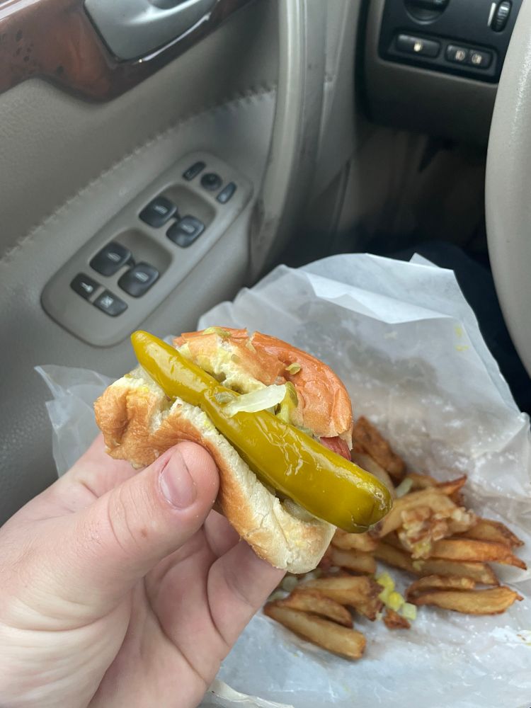 A photo taken in the car of a half eaten polish with onion mustard relish and a giant sport pepper, french fries in the background. 