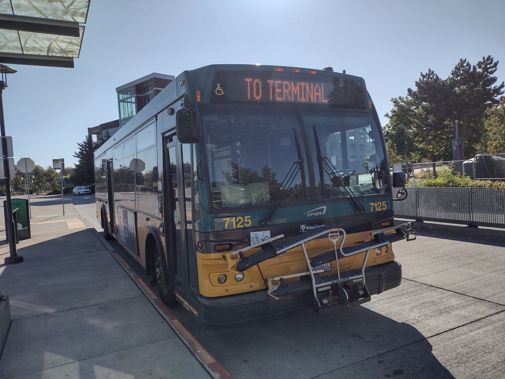 Onion at Burien Transit center