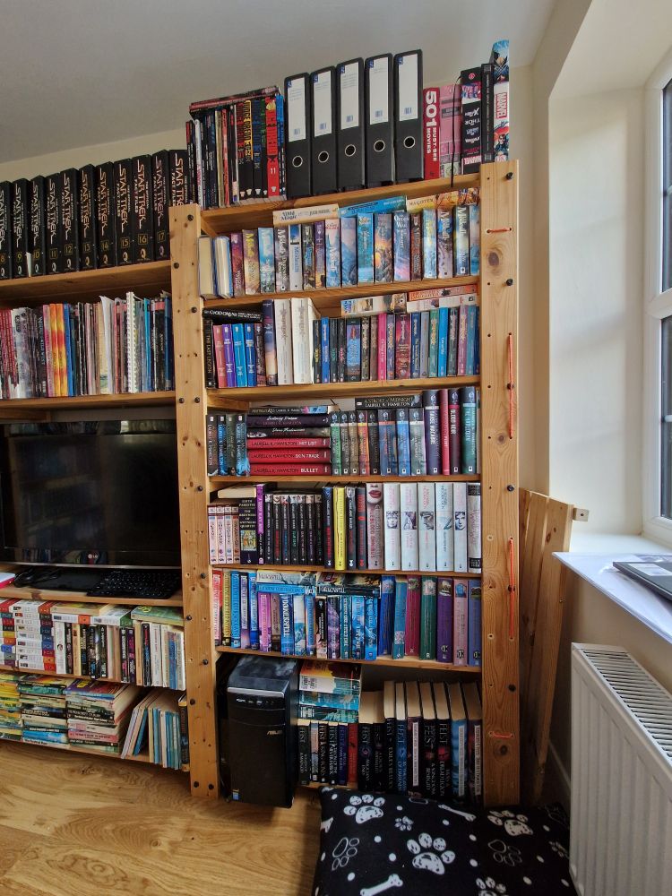 heavy duty wood shelving filled with books