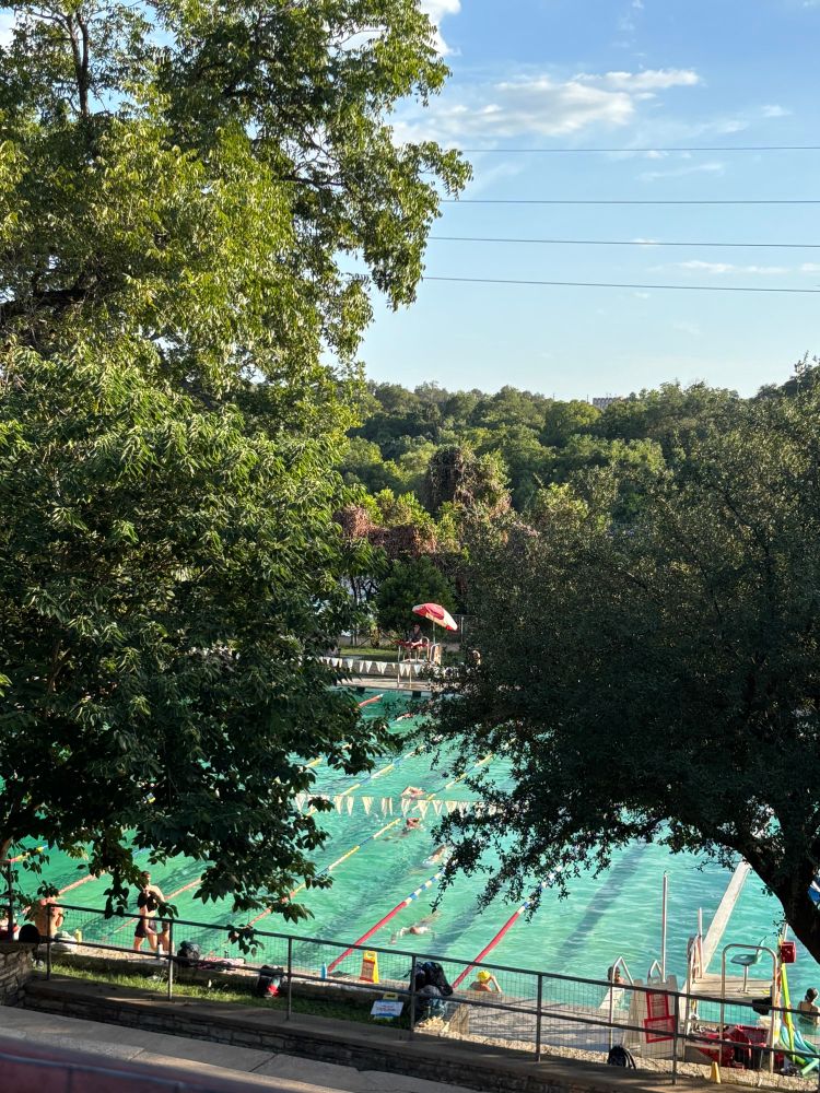 Overhead view of municipal swimming pool and adjacent trees; hot summer day 