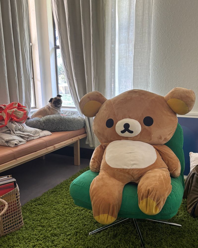 Small pug with big Rilakumma 