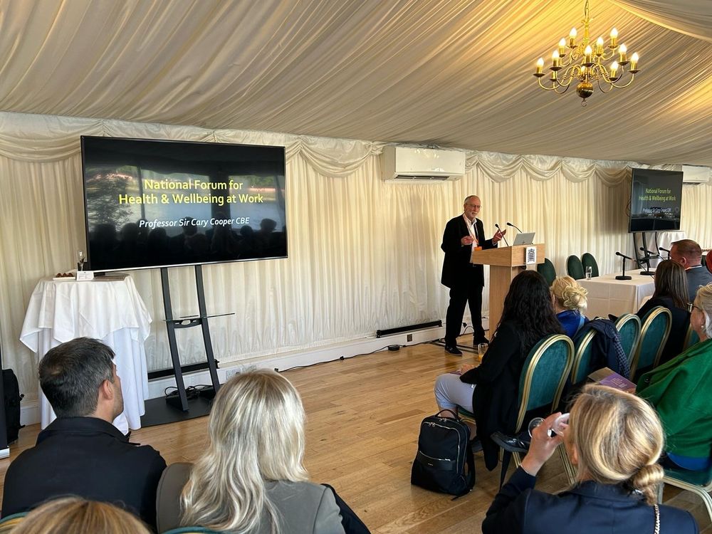 Prof Sir Cary Cooper presenting at the house of commons.