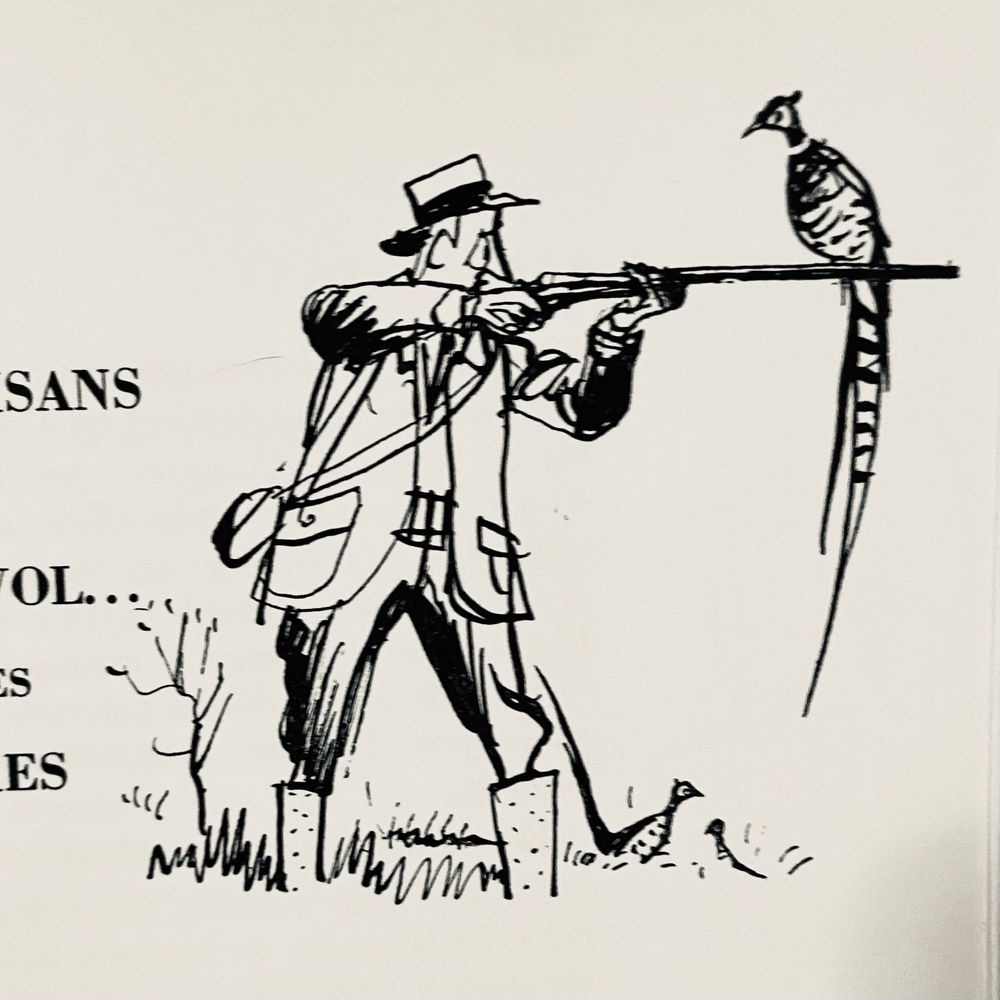 Illustration by Beuville showing a hunter aiming his rifle, looking surprised when a pheasant lands on the barrels