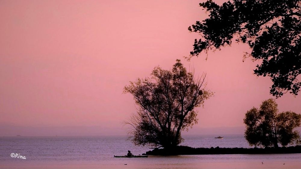 You can see a person in a kayak in front of a peninsula with trees. The sky is pink.