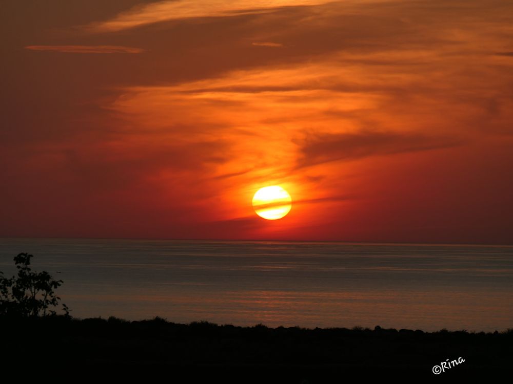 A sunset by the sea, the sky is red. In front of the setting sun are thin clouds that look like they were painted with brushstrokes