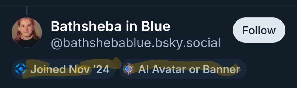 Screenshot of Bathseba in Blue handle with labels showing they joined bluesky in Nov 2024 and use AI avatar or banner 