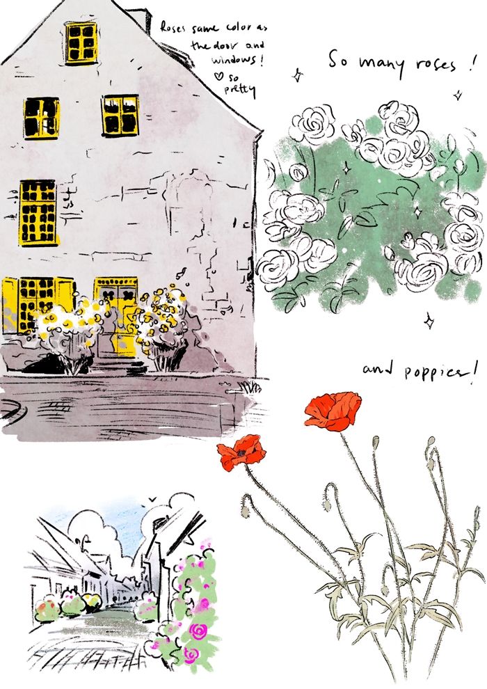 Sketches from Visby, roses, houses and poppies. 