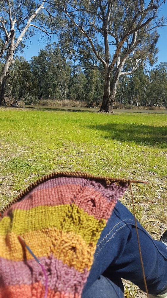 Calanthe shawl by Shannon Okey in progress. Yarn is Olive Branch shawl stripe by Caterpillar Green. 