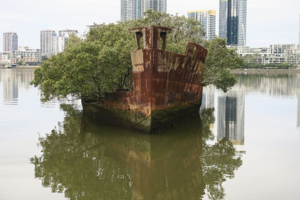 The good ship ‘Environmental Reform’ has been sitting idle for decades. Now there are moves to cut red tape around development approvals and the talk is about speeding up environmental reforms. However, as Michael Vardon discusses in item 1, we need to be careful that such reforms don’t accelerate the loss of natural capital. [Image by David Salt]
Dbytes is a weekly eNewsletter presenting news and views on biodiversity conservation and environmental decision science. ‘D’ stands for ‘Decision’ and refers to all the ingredients that go into good, fair and just decision-making in relation to the environment.