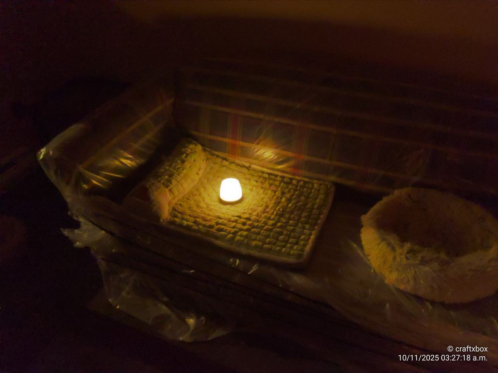 An LED candle is set atop the green rectangular bed, atop the same couch as picture 2. It emits a warm glow in a otherwise dark room.

Dated November 10th, 2025, at 03:27:18 AM

Our memorial to her.