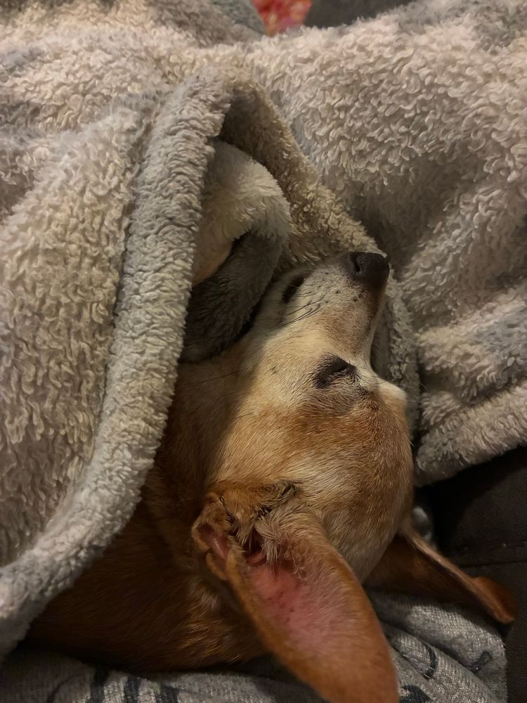 Tank on my lap wrapped in his blankie taking a nap. Me sitting precariously losing circulation. 