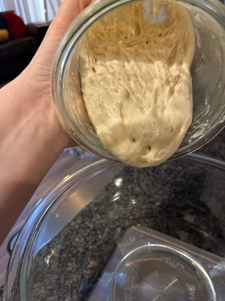 Sourdough starter being added to water  