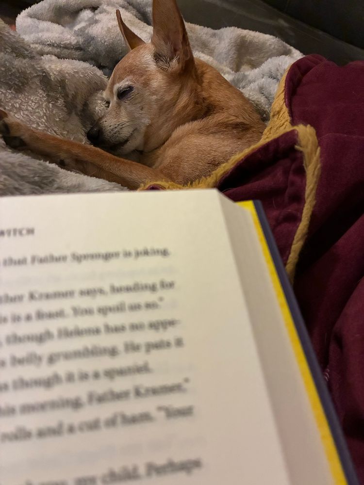 Tank napping on my leg while I read 