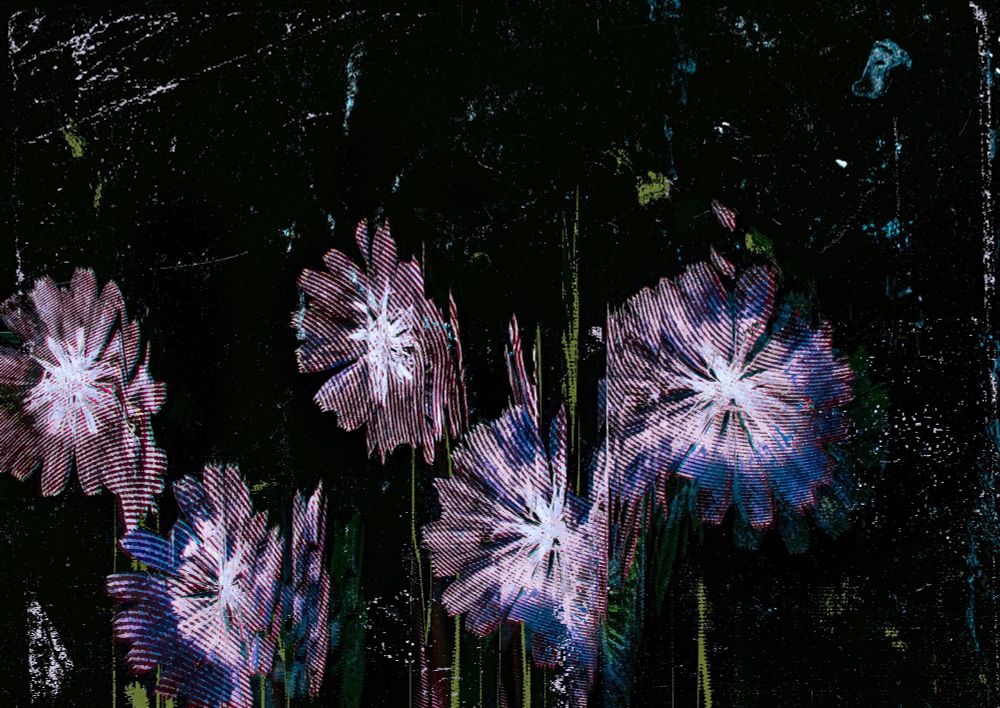 luminous flowers emerges from a dark background in a grungy scan aesthetic.