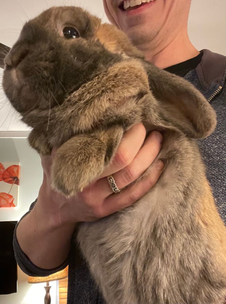 an alternate angle of Poptart, with another sad face, fuzzy tum, and my goofy smile in the background 