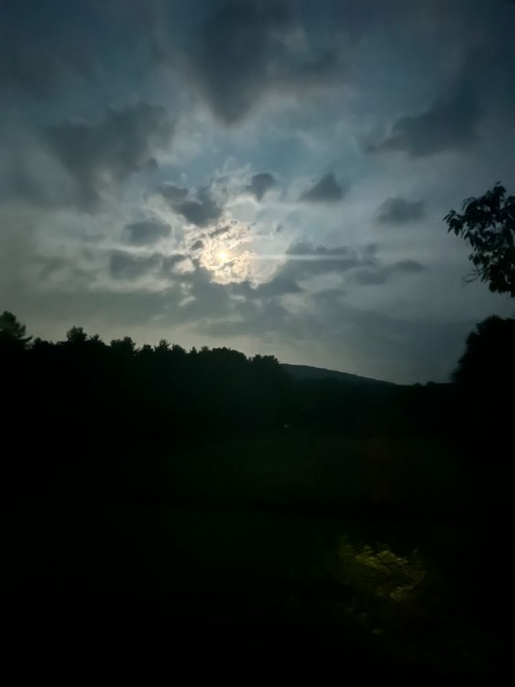 Moon, waxing gibbous, shining through a cloud, silhouette of a near hill horizon and tree.