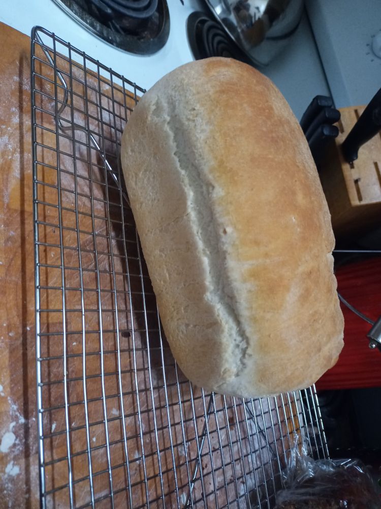 A loaf of homemade bread