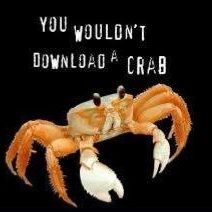 An image of a crab with the caption "You wouldn't download a crab"

Meme and shitpost 👍