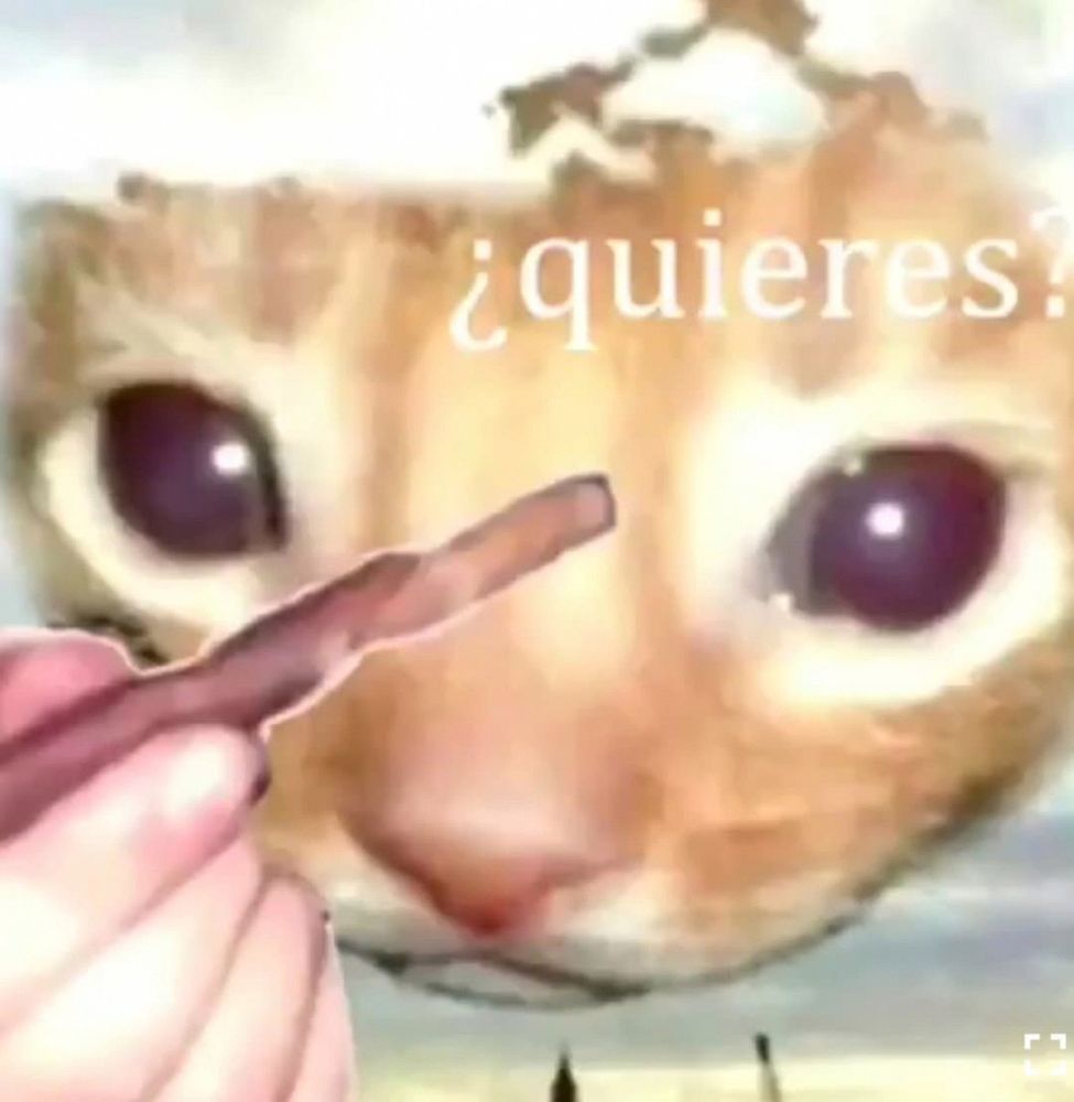 smol cat asking quieres and handing you a phatty boofer