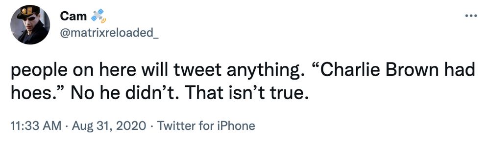 Screenshot of a tweet by 
@matrixreloaded
people on here will tweet anything. "Charlie Brown had hoes." No he didn't. That isn't true.
11:33 AM • Aug 31, 2020