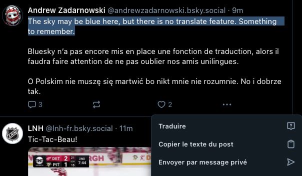 print screen from Bluesky showing the translation menu in French.