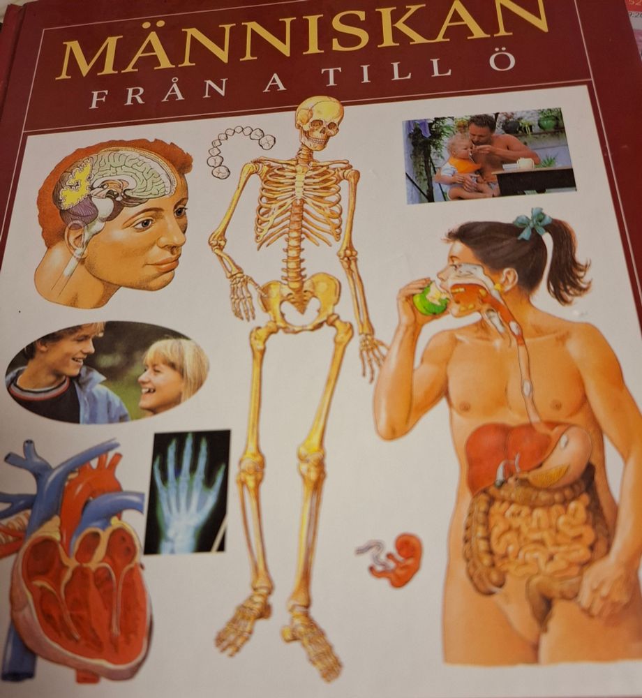 Människan från A till Ö.

En uppslagsbok för barn om människan.