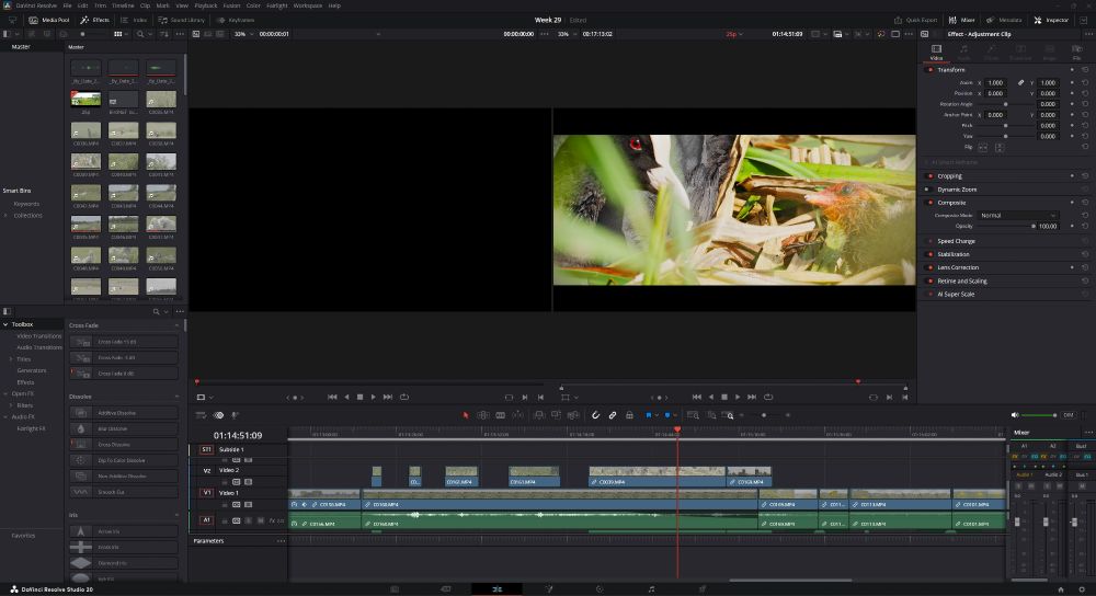 Videobewerkingprogramma met meerkoet en jong in beeld.