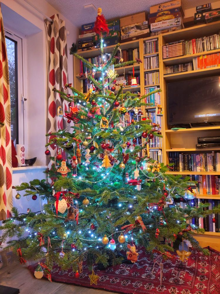 A really quite Extra Christmas tree in front of some bookshelves. There is a beautiful, moth-eaten, red feather fairy on top of the tree. She is from the 70s and her wings have dropped off, but we all feel a bit like that these days. You can tell the tree belongs to someone over 40, because there are CDs AND paper OS maps on the bookshelves 