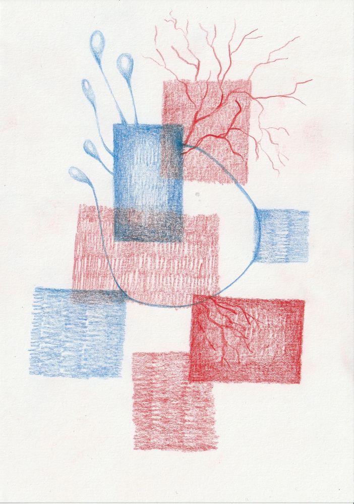 overlapping shaded squares in red and blue coloured pencil. some of the shapes are darker and have vein-like patterns or odd little blobby shapes growing out of them