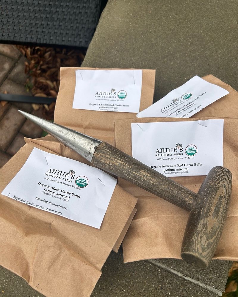 A brown and silver dibbler tool lies across four tan paper bags of garlic bulbs. The bulbs are fro Annie’s Heirloom seeds and the types are Music, Chesnok Red, Inchelium Red, and German Extra Hardy.