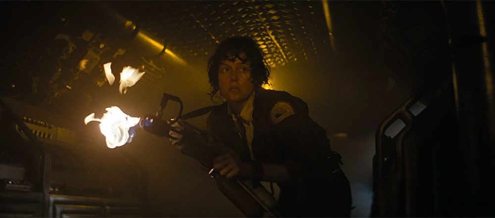 Ellen Ripley avec un lance flamme dans Alien qui, je pense, est une représentation accurate de myu vs les araignées