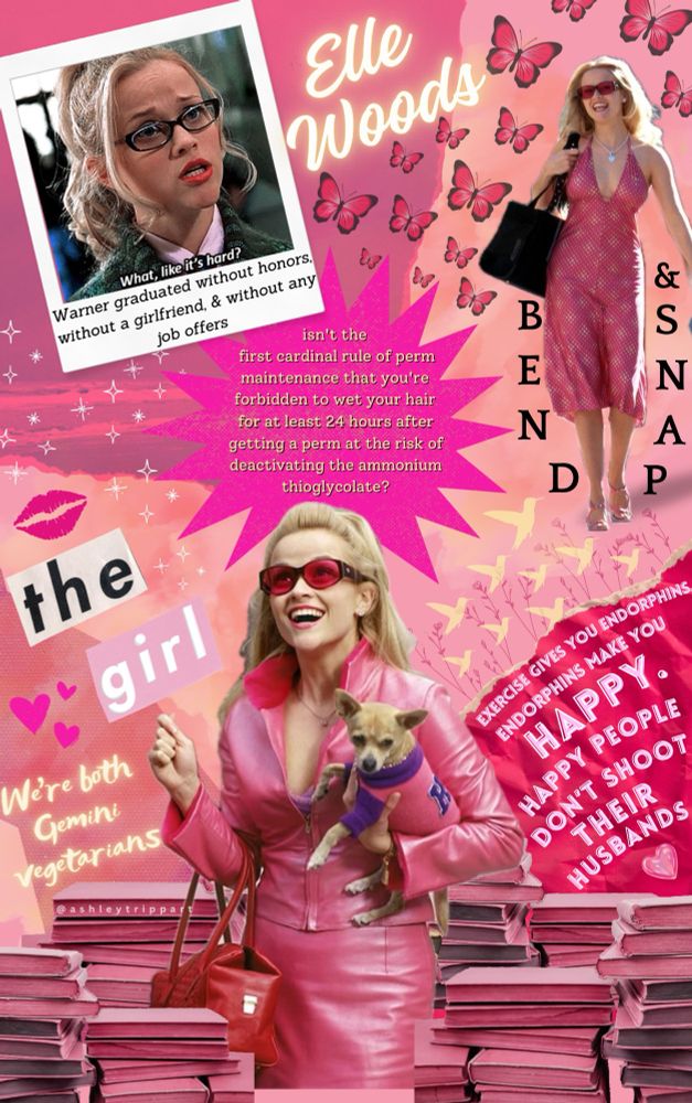 Digital collage of photos and key lines in the early 2000 film “legally blonde”