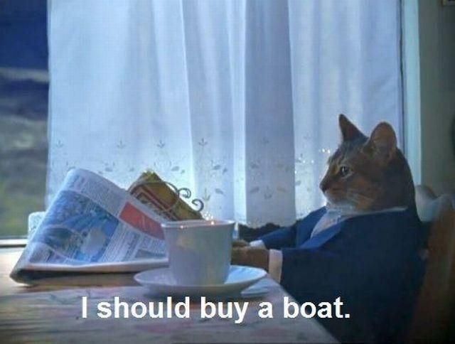I should buy a boat cat