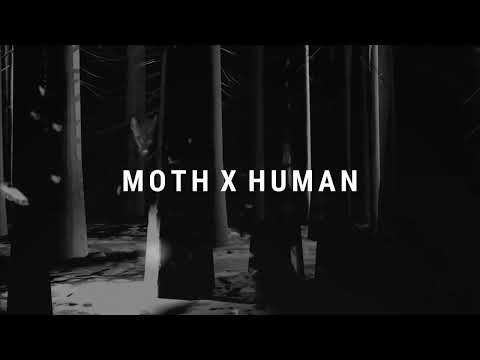 Ellie Wilson - Moth x Human (trailer)
