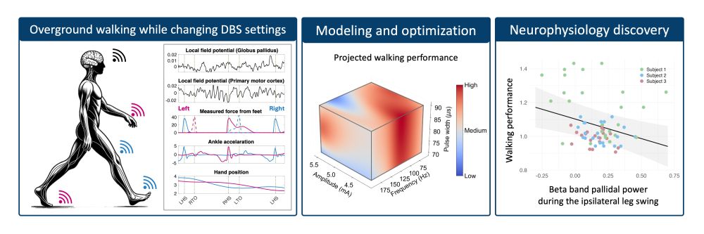 Graphic that depicts an overview of the study in which UCSF researchers modeled and optimized DBS settings to improve walking in patients with Parkinson's, identifying key insights abut the neurophysiology of walking along the way. 