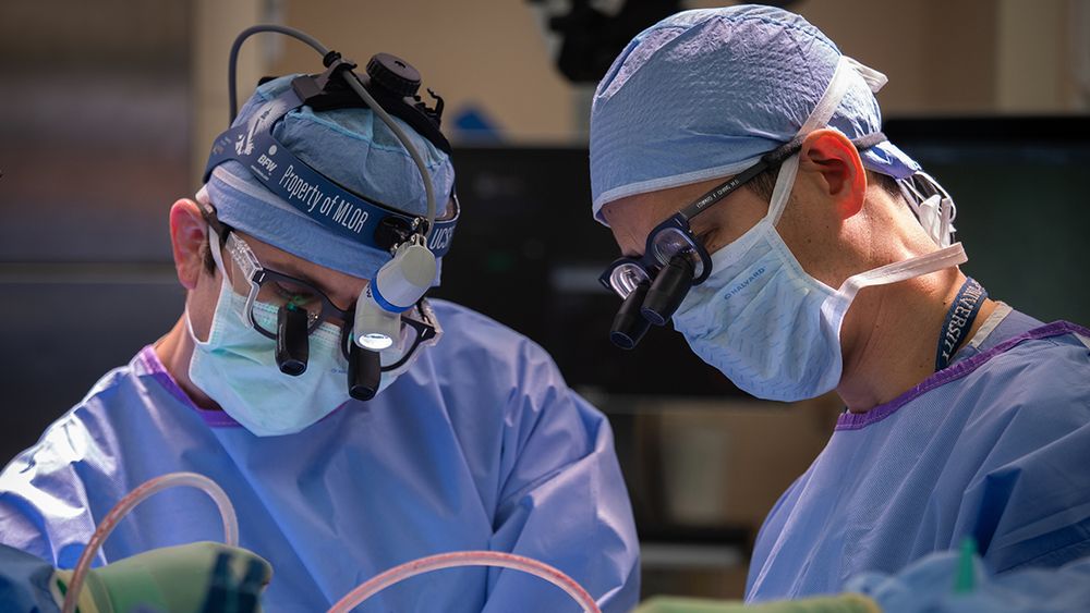 John Andrews, MD, with UCSF neurosurgeon Edward Chang, MD, during a corpus callosotomy surgery.