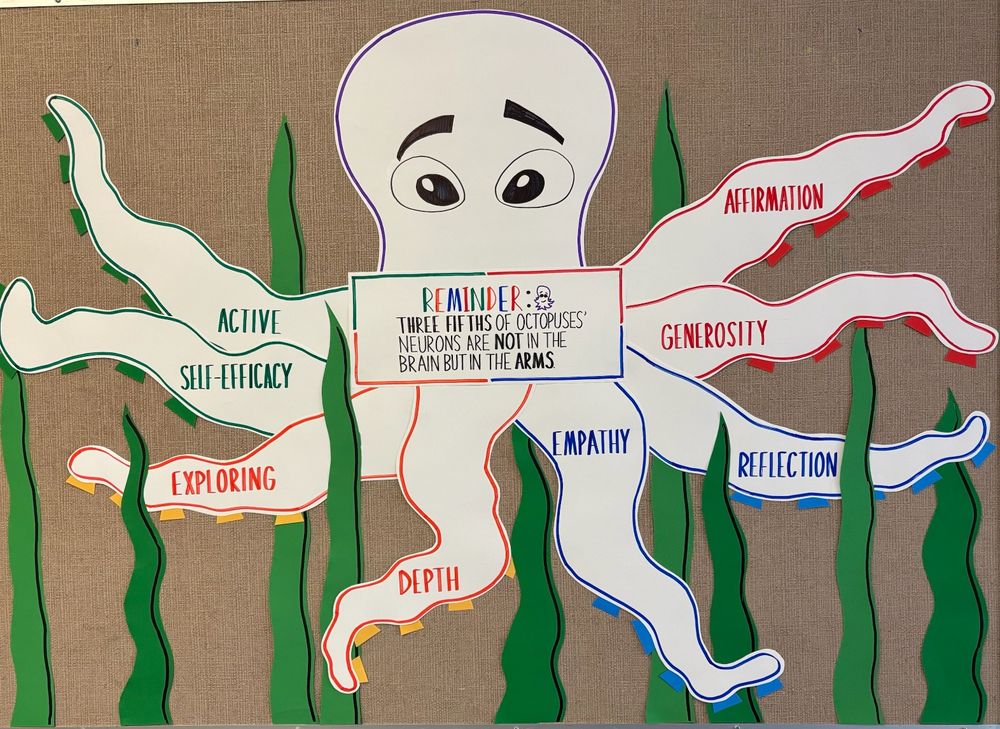 new octopus wall for peer nominations