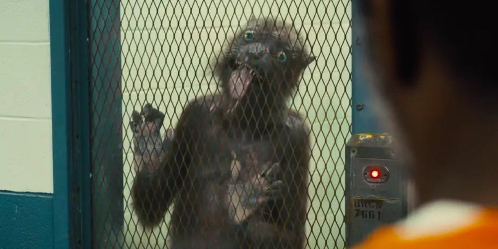 Weasel de The Suicide Squad qui leche une vitre