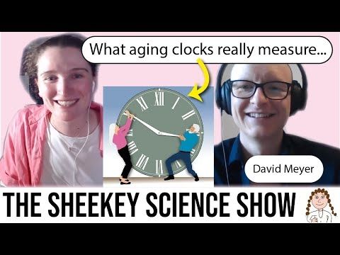 How Randomness Drives Aging - DNA Repair, Clocks & Rejuvenation (David Meyer)