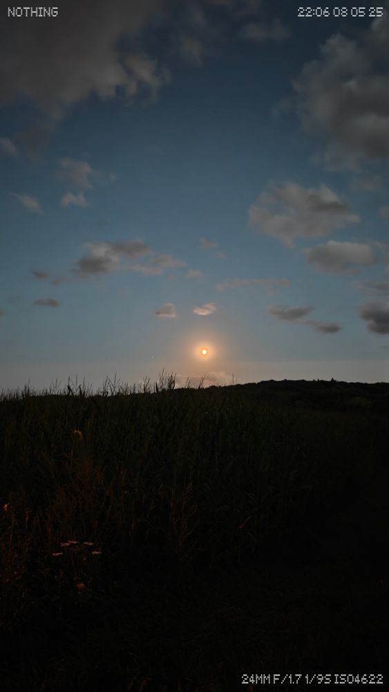 A glowing full moon rises above a dark field of tall grass, framed by a soft twilight sky and scattered clouds. Wildflowers barely catch the last light in the lower left, while the horizon holds the fading warmth. A Nothing watermark and timestamp evoke precision and presence.

