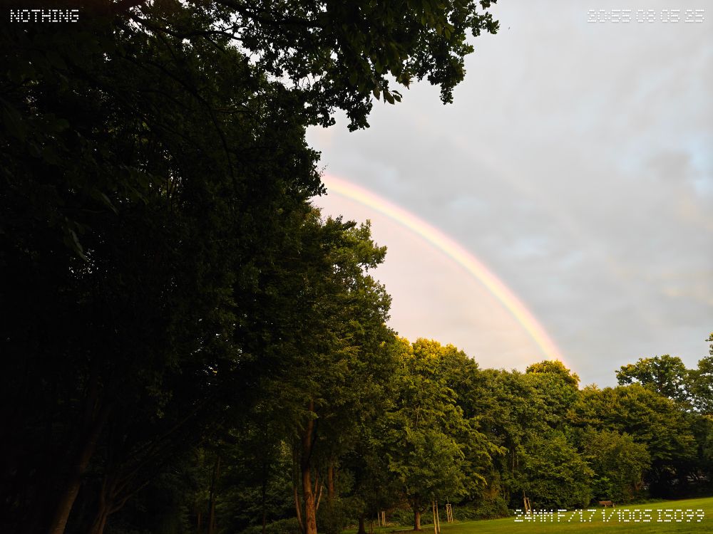 A rainbow arching trees in a park. 