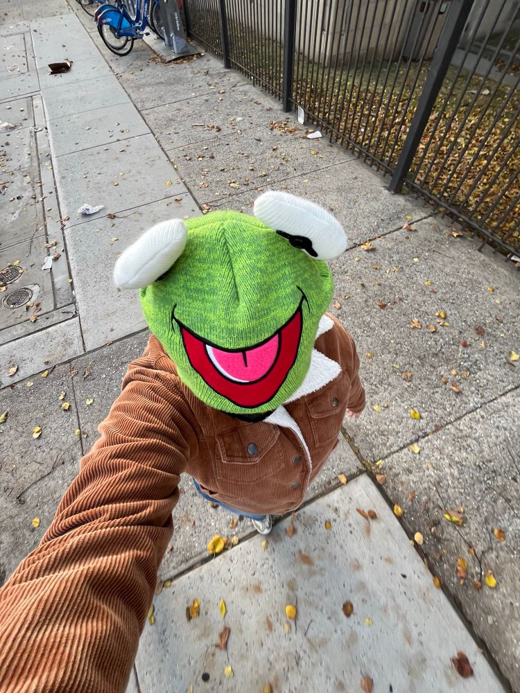 a 0.5 lens selfie of me from above wearing a Kermit character hat, you cannot see my face. 