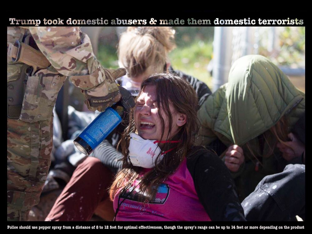 Trump took domestic abusers & made them domestic terrorists
Police should use pepper spray from a distance of 8 to 12 feet for optimal effectiveness, though the spray's range can be up to 14 feet or more depending on the product

A protestor putting their body on the line to protect targets of ice violence being sprayed directly in the face from less than an inch away

https://www.durangoherald.com/articles/confrontation-escalates-between-protesters-federal-agents-in-durango/