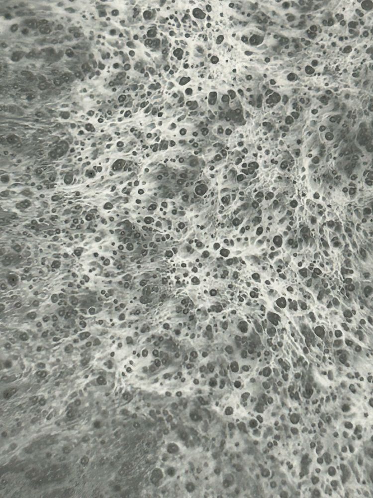 Paint that’s been sitting overnight, separating, a range of grays, looking cellular, almost like the porous parts of bone.