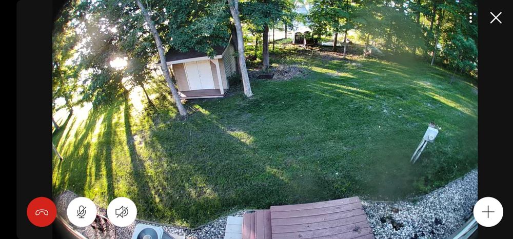 Sun shining through trees, casting long shaddows over a green lawn.